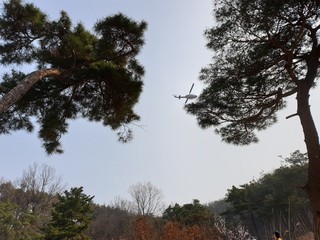 날고 있는 헬기가 보이는 풍경