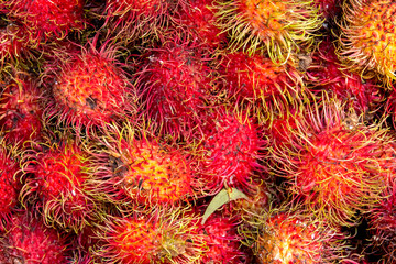 Rambutan