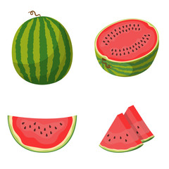 Whole and sliced watermelon. Vector set in cartoon style.