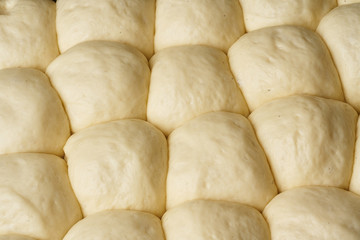 russian donut pampushka unbaked ready to bake