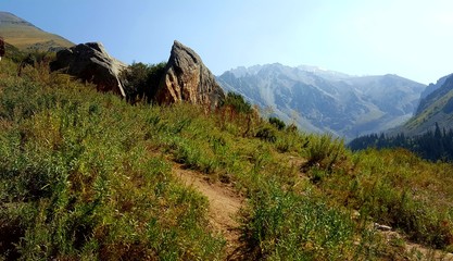 Naklejka premium Berge 3