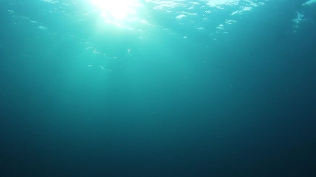 Underwater sunlight in blue ocean video 