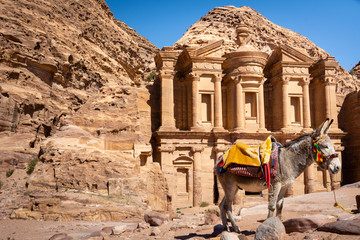 Donkey standing in front of the Monastery in Petra, Wadi Musa, Jordan. 