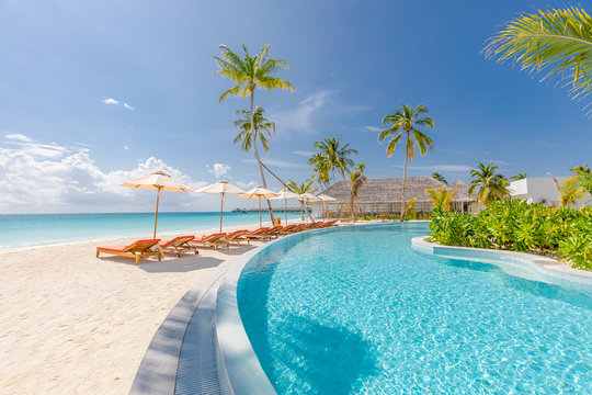 Summer vacation at a luxury resort with infinity pool