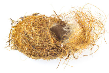 Abandoned bird's nest isolated on white background