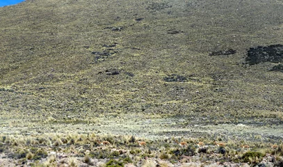 Fotobehang Highlands Peru Andes. Desert © A