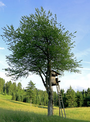 hut for hunters on the mountain