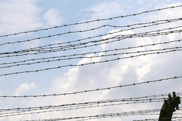 barbed wire of a rectified electrified by the boundary