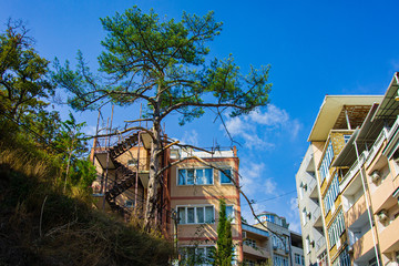 Fototapeta na wymiar Yalta, Russia - September 30, 2019: Architecture of coastal city. Narrow streets leading to sea. Houses are built on steep slopes. Evergreen trees grow on cliff near houses. Velvet season in Crimea.