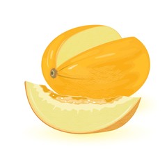 Yellow oval shaped melon with slice of it. Sweet edible fleshy fruit with seeds. Delicious summer snack. Vector illustration isolated on white for farm market label, menu, cookbook, packing design.