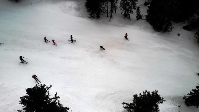 ski tourists on winter vacation doing ski alpine and snowboarding downhill on a frosty sunny winter day between snowy trees in Austria- view from above, top-down view