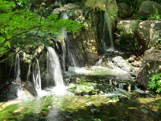Fototapeta na wymiar Some small waterfalls in the forest