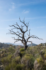 Fototapeta premium Sierras Subbéticas