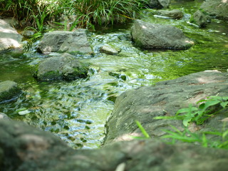A photo where you can feel the babbling brook
