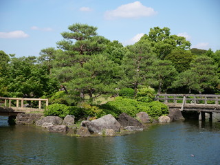 Fototapeta premium Small island in the park pond