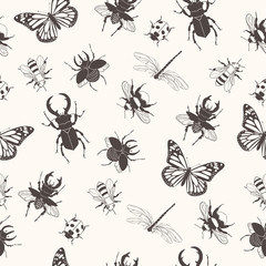 Seamless pattern with insects. Summer print. Vector graphics.