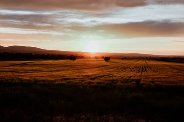 atardecer en el sur