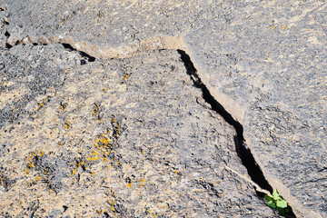 Wanderung durch den Naturpark Los Volcanes um die Vulkane Caldera de La Rilla, Montana de Santa Catalina, Pico Partido, Montana del Senalo auf der spanischen Kanareninsel Lanzarote © Rolf Dräger