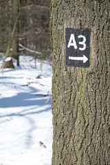 Fototapeta premium Trail for Hiking