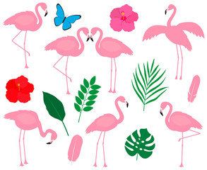 Set flamingo vector bird tropics flowers