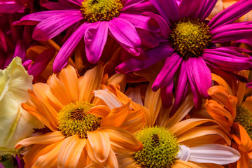 Colorful daisy floral arrangement close up for backgrounds and copy space