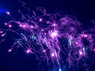 Colorful fireworks on the black sky background.
