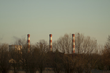 Kominy elektrowni węglowej © maciejbutelewski