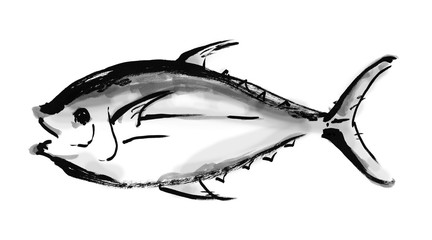 Fototapeta premium マグロ, 鮪, まぐろ, 魚, 魚類, ベクター, キハダマグロ, 黄肌マグロ, 赤身, 木肌鮪, キハダ鮪, キハダまぐろ, 木肌マグロ, 刺身, 海鮮, 生, 白バック, 白背景, 手描き, 手書き, 筆書き, 筆描き, カット, 挿絵, 素材, イラスト, イラストレーション, 墨絵, 和食, 品種, 目鉢, 魚介類, 食材, スシネタ, 全体
