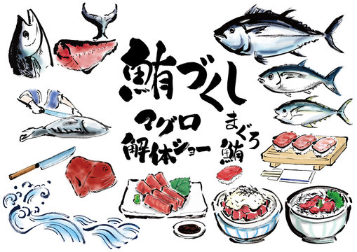 マグロ解体 の画像 346 件の Stock 写真 ベクターおよびビデオ Adobe Stock