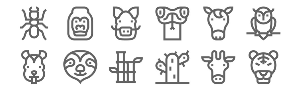 set of 12 wildlife icons. outline thin line icons such as tiger, cactus, sloth, horse, boar, gorilla
