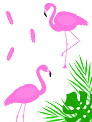  Greeting card flamingo vector birds tropics flowers