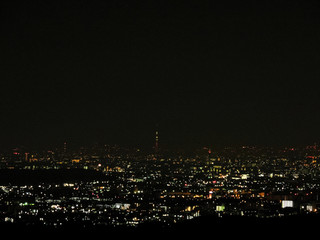 Fototapeta premium Tokyo night view from far mountain
