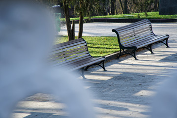 Stylish bench in autumn park. Wooden bench - 331204818