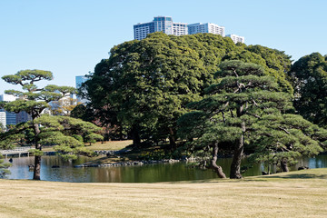Downtown centre in Tokyo city. View from public park. Tokyo's Skyline - 331205411