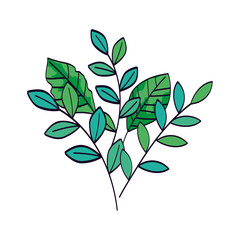 branches with leafs natural isolated icon vector illustration design