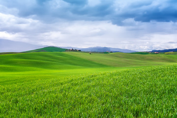 Fototapeta premium Amazing spring landscape with green rolling hills and farm houses in the heart of Tuscany in morning