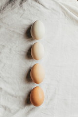 Chicken eggs of different colors.