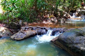 Naklejka na ściany i meble kleiner tropischer Wasserfall im Dschungel