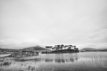 Fototapeta premium Irland