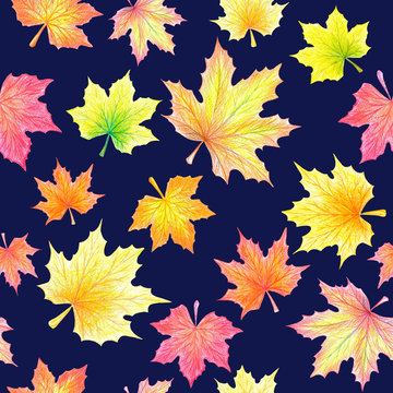 Maple leaves with colored pencils on dark blue background. Seamless pattern. Multicolor: red, orange, yellow, green. Color pencils texture. Design for backgrounds, wallpapers, textile, covers.
