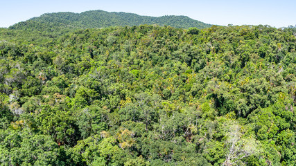 Fototapeta na wymiar Tropical Jungle Trees Roof Top Cable Car Panoramic Landscape