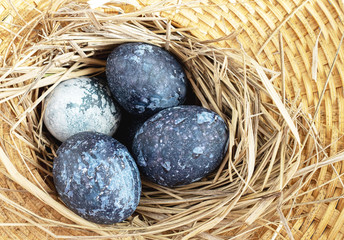Fototapeta na wymiar Painted cosmic dark blue eggs with white dots in a nest on a wicker basket background. Happy easter concept