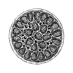 Traditional strawberry pie sketch. Vector illustration of ink hand drawn fruit and berry baking. Homemade strawberry cake drawing. 