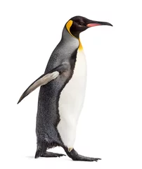 Deurstickers Side view of a king penguin walking, isolated on white © Eric Isselée