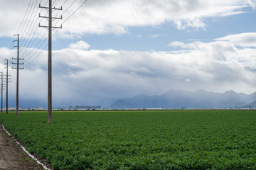 Field with clouds