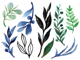 Watercolor Blue and green and black illustration foliage leaves collection Set of wild and garden and abstract leaves elements