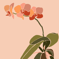 Art collage orchid flower in a minimal trendy style. Silhouette of orchid plants on a pink background. Vector