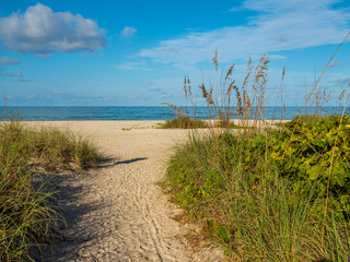 Fototapeta na wymiar Sandy path to Nokomis Beach on Gulf of Mexico in early morning light on Casey Key in Nokomis Florida in the United States