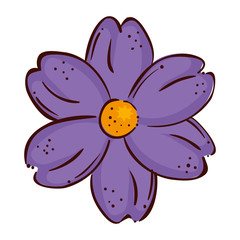 cute flower purple color isolated icon vector illustration design
