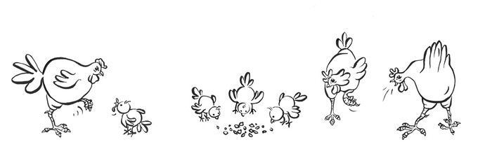 Hühner und Küken beim picken